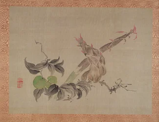 Apple and Flowering Plant, 1851